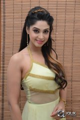 Angana Roy at Sri Sri Movie Audio Launch